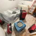 Pensacola Mold Experts-Pensacola