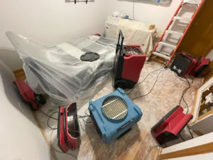 Pensacola Mold Experts-Pensacola