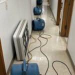 Nexus Water Damage Restoration Fort Lauderdale-Fort Lauderdale