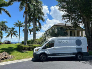 iMold Cleaning and Restoration - Water Damage and Mold Removal Specialists-Naples