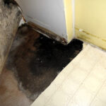 Swan Water Damage Restoration-Delray Beach