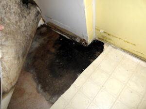 Swan Water Damage Restoration-Delray Beach