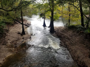 Suwannee River State Park-Live Oak