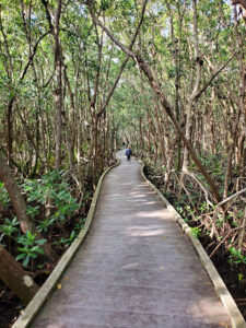 Four Mile Cove Ecological Preserve-Cape Coral