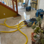 Ultra Hygiene Services (UHS Mold)-Miami