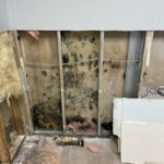 Oakland Park First Mold removal-Oakland Park