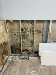 Oakland Park First Mold removal-Oakland Park