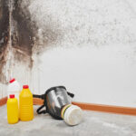 Dry Eraser - Mold Removal & Remediation Miami FL-Miami