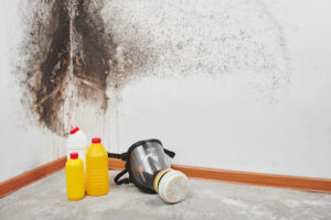 Dry Eraser - Mold Removal & Remediation Miami FL-Miami