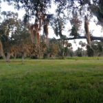 Taylor Creek Stormwater Treatment Area/Nature Trail/Wildlife Preservation Area-Okeechobee