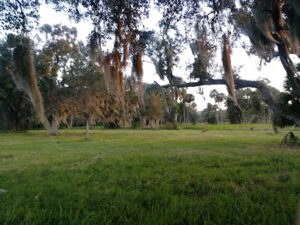 Taylor Creek Stormwater Treatment Area/Nature Trail/Wildlife Preservation Area-Okeechobee