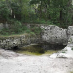 Suwannee Springs-Live Oak