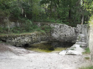 Suwannee Springs-Live Oak