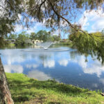 The Lake Doctors