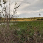 AM Aquatic Weed Harvesting-Inverness