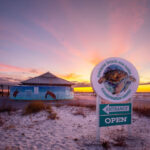 Navarre Beach Sea Turtle Conservation Center-Navarre