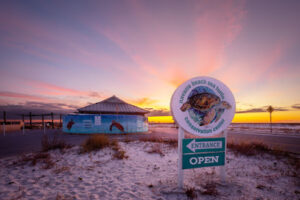 Navarre Beach Sea Turtle Conservation Center-Navarre