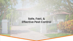 Mitchell Pest Services-Key Largo