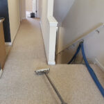 Dolphin Carpet Cleaning and Restoration-Deerfield Beach