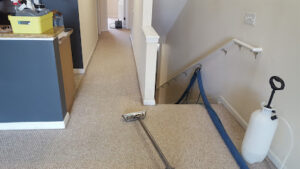 Dolphin Carpet Cleaning and Restoration-Deerfield Beach