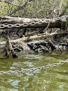 Black Hammock Orlando Airboat Rides-Oviedo