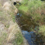 Coquina Water Control District-Okeechobee