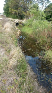 Coquina Water Control District-Okeechobee
