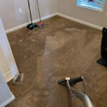 Elements Disaster Recovery - Sarasota-Sarasota