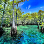 Morrison Springs County Park-Ponce De Leon